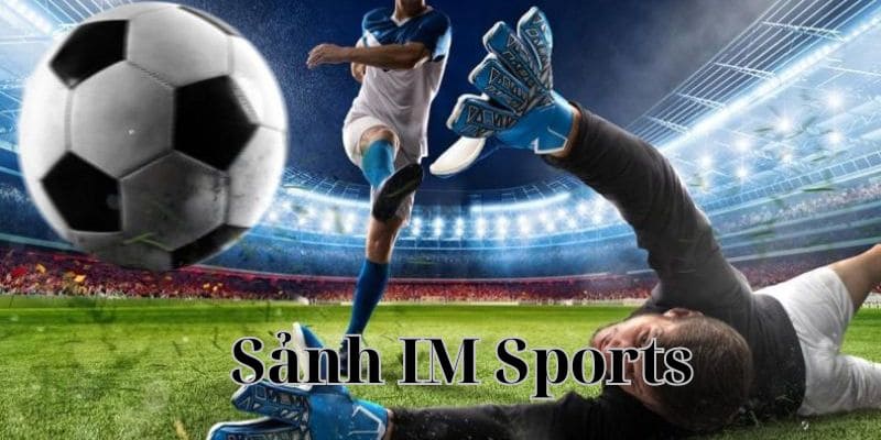 IM Sport là sảnh cược uy tín hàng đầu châu Á